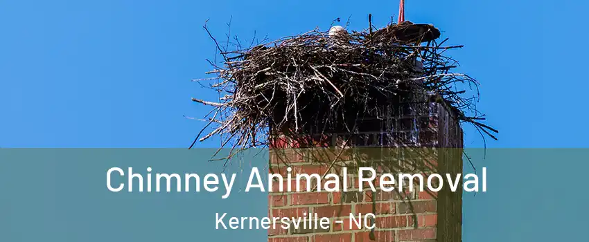  Chimney Animal Removal Kernersville - NC