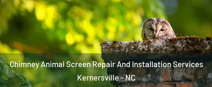  Chimney Animal Screen Repair And Installation Services Kernersville - NC