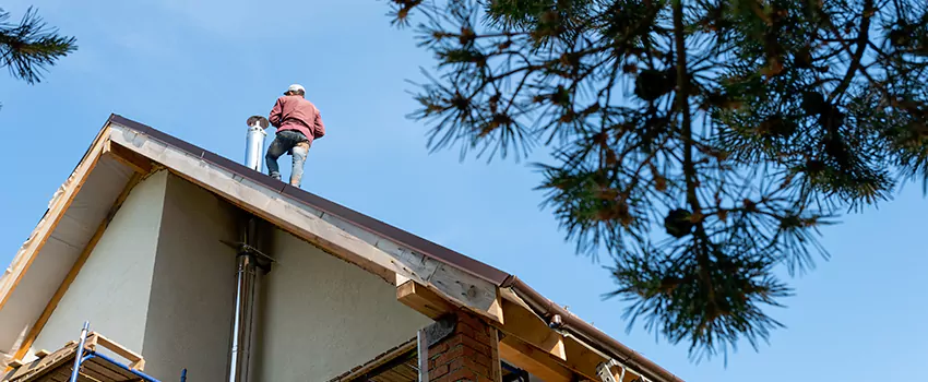 Birds Removal Contractors from Chimney in Kernersville, NC